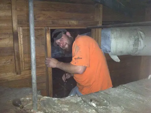 Arabian - Pinehurst — 2013 In The Attic — photo 36