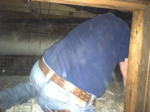 Arabian - Pinehurst — 2013 In The Attic — photo 37