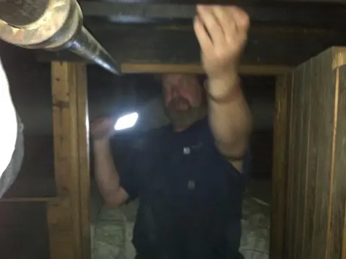 Arabian - Pinehurst — 2013 In The Attic — photo 39