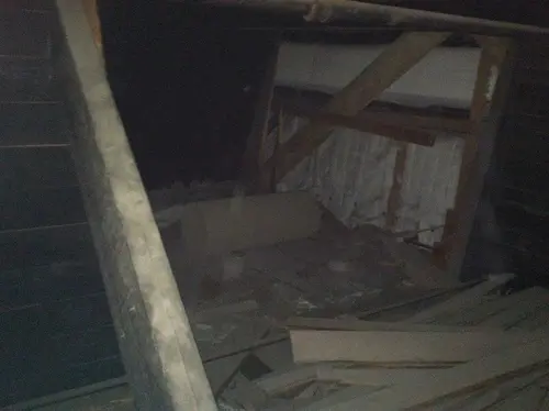 Arabian - Pinehurst — 2013 In The Attic — photo 41