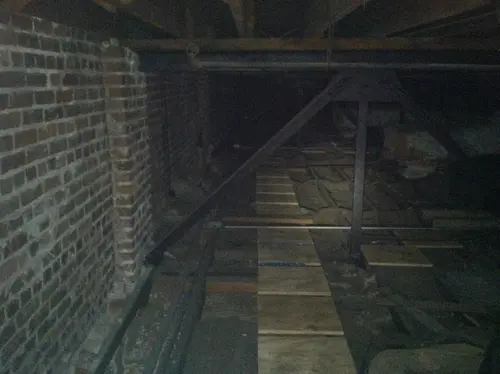 Arabian - Pinehurst — 2013 In The Attic — photo 46