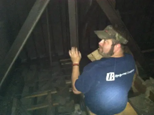 Arabian - Pinehurst — 2013 In The Attic — photo 61