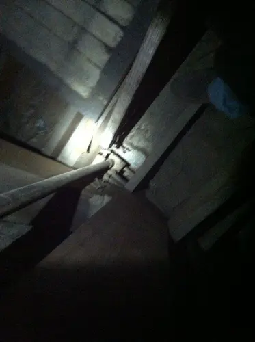 Arabian - Pinehurst — 2013 In The Attic — photo 69