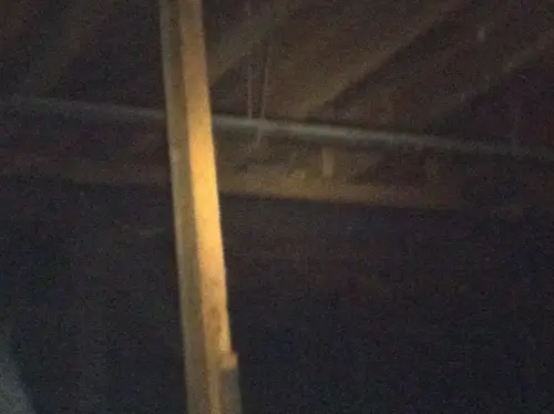 Arabian - Pinehurst — 2013 In The Attic — photo 82