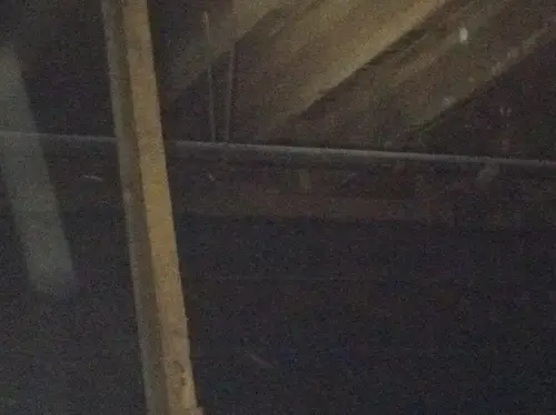 Arabian - Pinehurst — 2013 In The Attic — photo 83