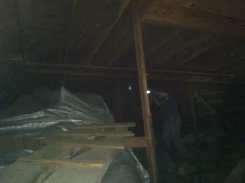 Arabian - Pinehurst — 2013 In The Attic — photo 85