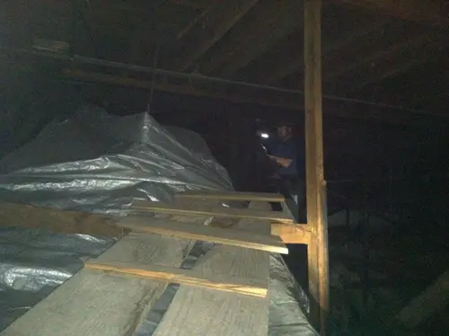 Arabian - Pinehurst — 2013 In The Attic — photo 86