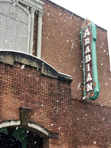 Arabian - Pinehurst — 2017 December Snow