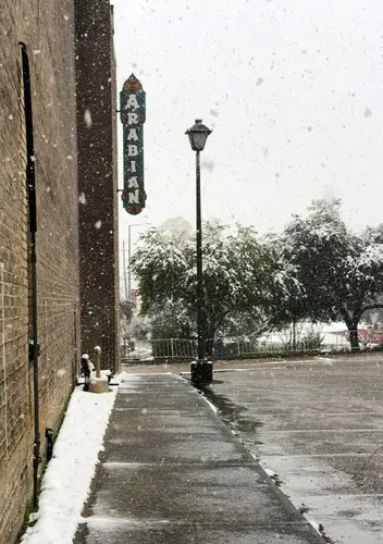 Arabian - Pinehurst — 2017 December Snow — photo 2
